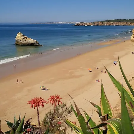 아파트 Exclusive Luxury In Oceano Atlantico Complex